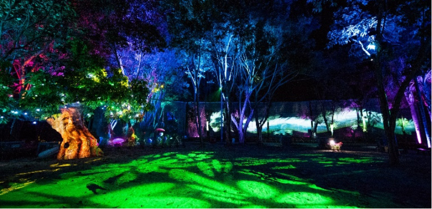 1735120258510666.png 6沉浸式夜游.png